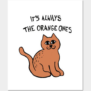 It's Always The Orange Ones Meme Cat Posters and Art